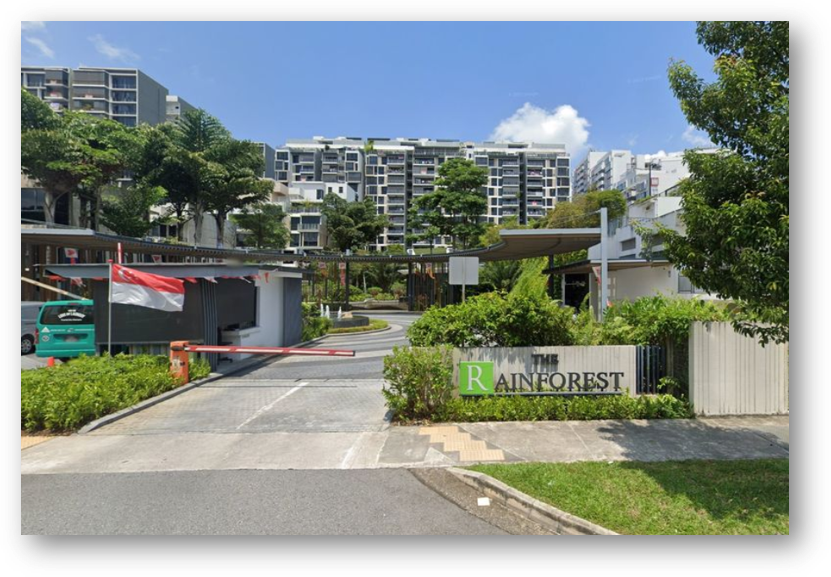 The Rainforest at CCK